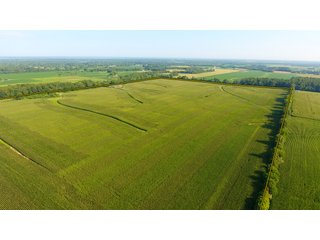 TRACT 5 - ILLINOIS LAND AUCTION - 4,810+/- ACRES OFFERED IN 85 TRACTS IN FRANKLIN, WILLIAMSON, HAMILTON & SALINE COUNTIES, ILLINOIS